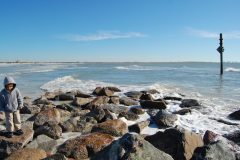 You don't find a lot of rocks like these laying around this part of Florida.