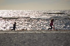 An evening at Honeymoon Island with the kids, Jan 2008