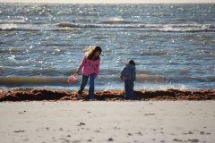 An evening at Honeymoon Island with the kids, Jan 2008